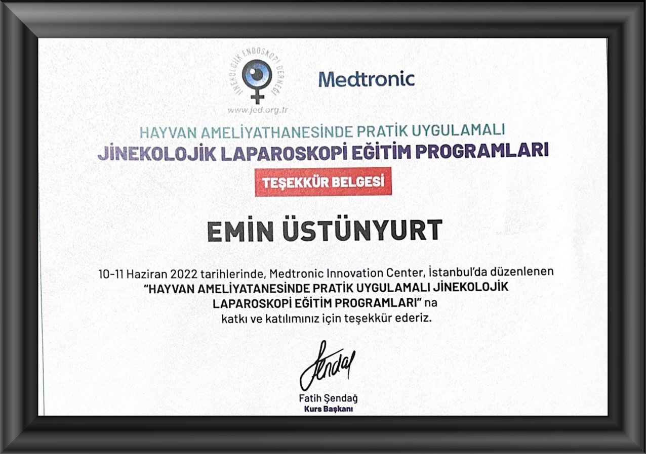 prof. dr. emin ustunyurt jinekolojik onkoloji bursa prof. dr. emin ustunyurt jinekolojik onkoloji bursa