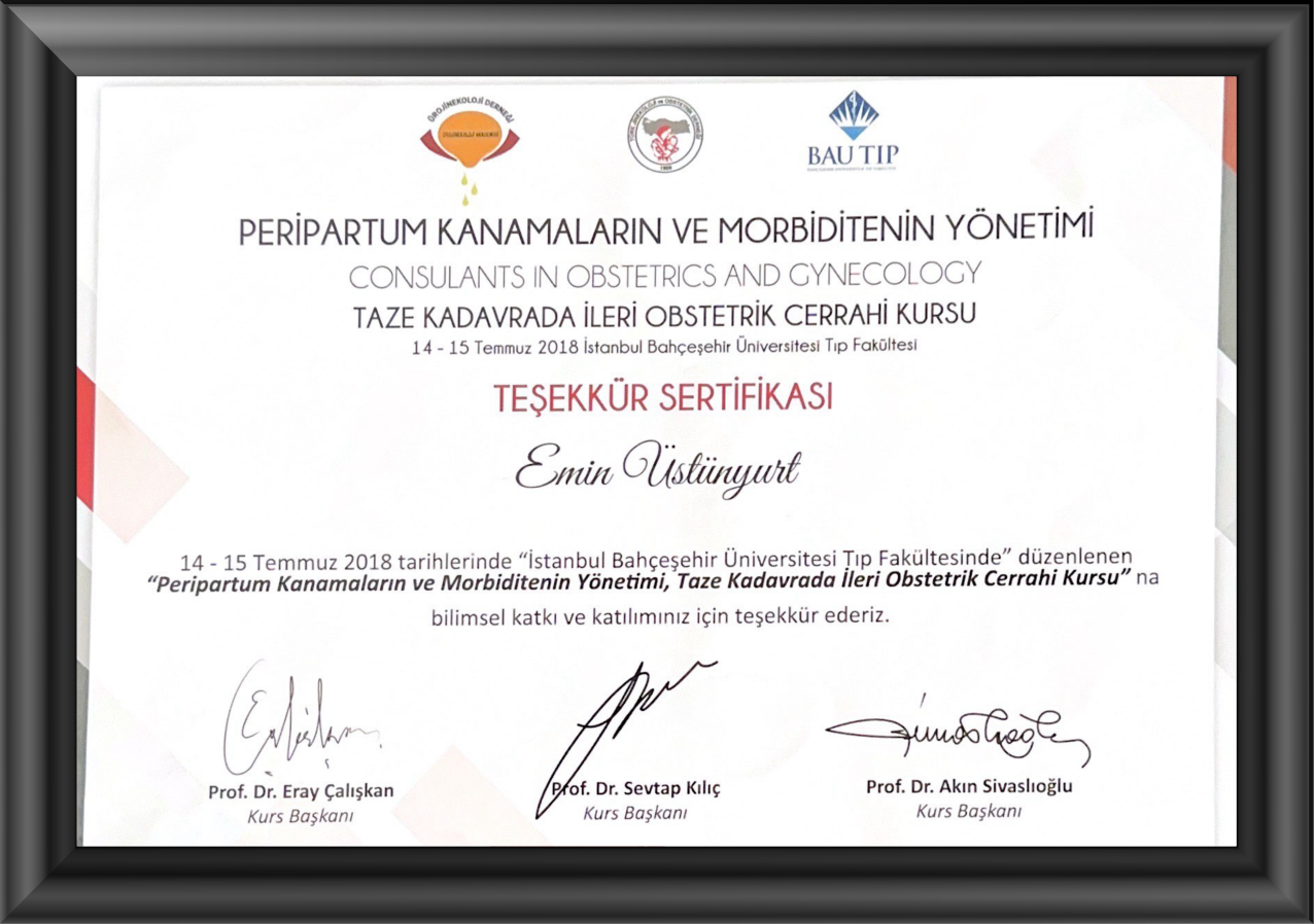 Sertifikalar+-03 Sertifikalar+-03